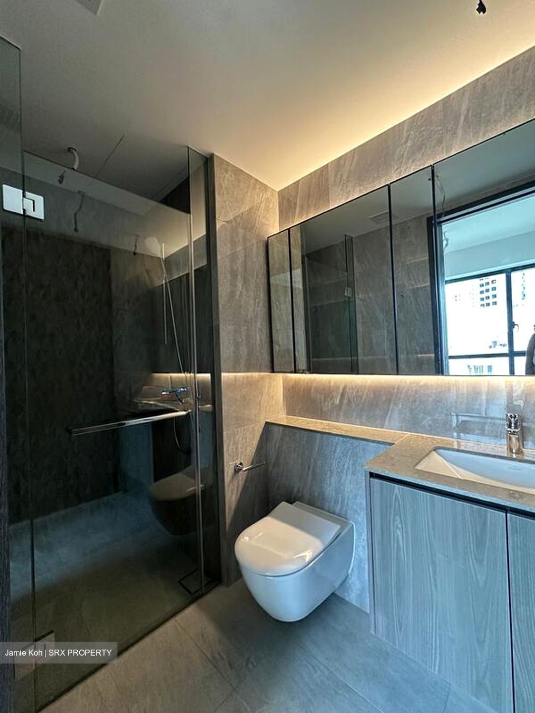 Piccadilly Grand (D8), Apartment #500686671